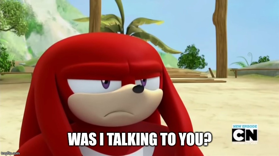 Knuckles is not Impressed - Sonic Boom | WAS I TALKING TO YOU? | image tagged in knuckles is not impressed - sonic boom | made w/ Imgflip meme maker