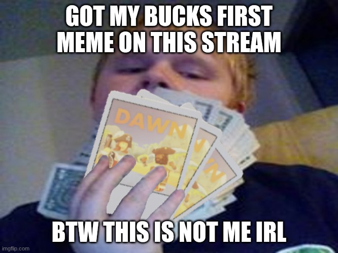 not me recroom | GOT MY BUCKS FIRST MEME ON THIS STREAM; BTW THIS IS NOT ME IRL | image tagged in rec room | made w/ Imgflip meme maker