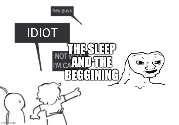 In loving it | THE SLEEP AND THE BEGGINING; IDIOT | image tagged in hey guys - not what i'm called | made w/ Imgflip meme maker