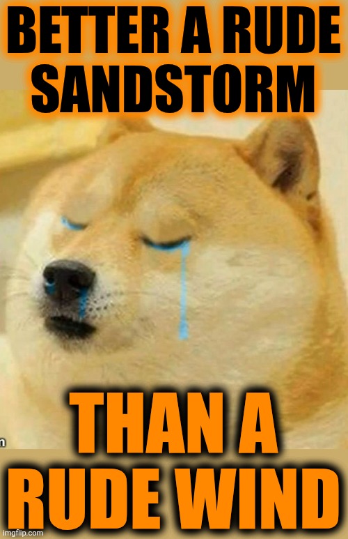 sad doge | BETTER A RUDE
SANDSTORM THAN A RUDE WIND | image tagged in sad doge | made w/ Imgflip meme maker