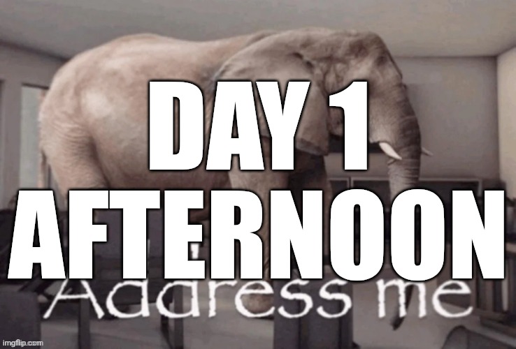 Address me | DAY 1 AFTERNOON | image tagged in address me | made w/ Imgflip meme maker