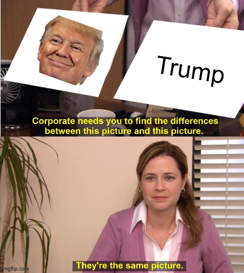 The image is called "Orange Man Face". | Trump | image tagged in memes,they're the same picture,funny,fun,trump,stop reading the tags | made w/ Imgflip meme maker