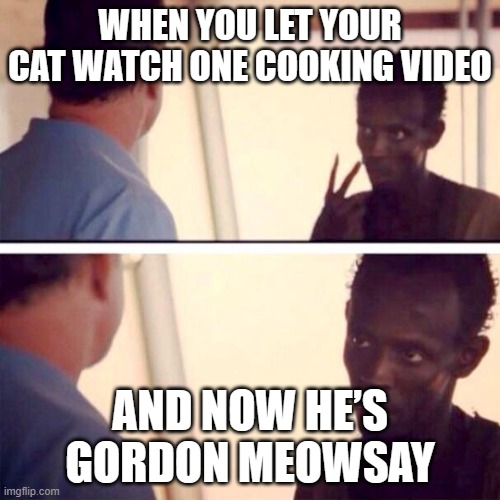 WHEN YOU LET YOUR CAT WATCH ONE COOKING VIDEO | WHEN YOU LET YOUR CAT WATCH ONE COOKING VIDEO; AND NOW HE’S GORDON MEOWSAY | image tagged in memes,captain phillips - i'm the captain now,cats,cat memes,gordon ramsey,cooking | made w/ Imgflip meme maker