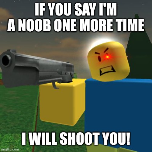 Never call him a noob | IF YOU SAY I'M A NOOB ONE MORE TIME; I WILL SHOOT YOU! | image tagged in roblox noob with a gun | made w/ Imgflip meme maker