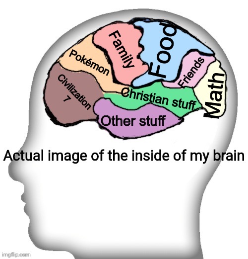 My brain | Food; Family; Pokémon; Friends; Civilization 7; Math; Christian stuff; Other stuff | image tagged in actual image of the inside of my brain,fun | made w/ Imgflip meme maker