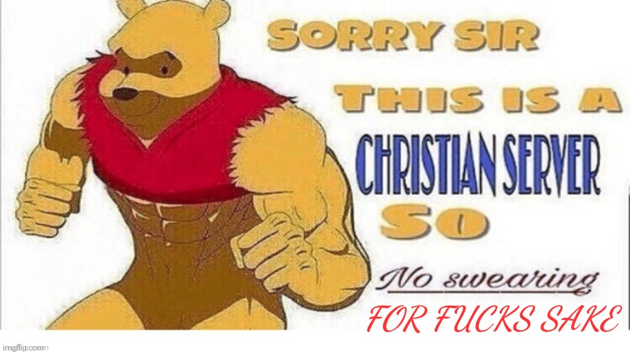 sorry sir this is a Chrisian server so no swearing | FOR FUCKS SAKE | image tagged in sorry sir this is a chrisian server so no swearing,ffs | made w/ Imgflip meme maker