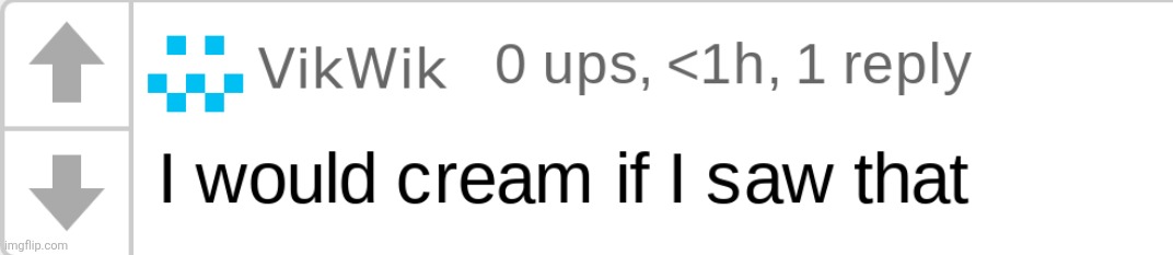 Vikboi "i would cream if i saw that" | image tagged in vikboi i would cream if i saw that | made w/ Imgflip meme maker