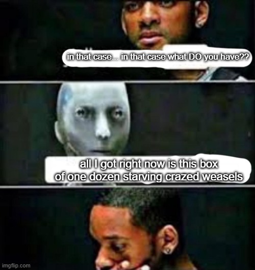 forgot this part mb | in that case... in that case what DO you have?? all I got right now is this box of one dozen starving crazed weasels | image tagged in y'all got any | made w/ Imgflip meme maker