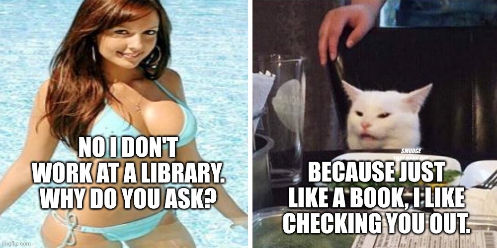 Smudge that darn cat with Karen | NO I DON'T WORK AT A LIBRARY. WHY DO YOU ASK? BECAUSE JUST LIKE A BOOK, I LIKE CHECKING YOU OUT. | image tagged in smudge that darn cat with karen | made w/ Imgflip meme maker
