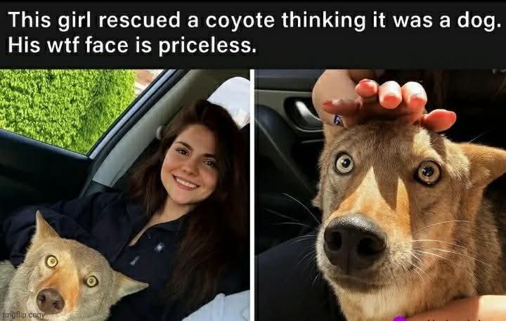 He don't even know what's going on | made w/ Imgflip meme maker