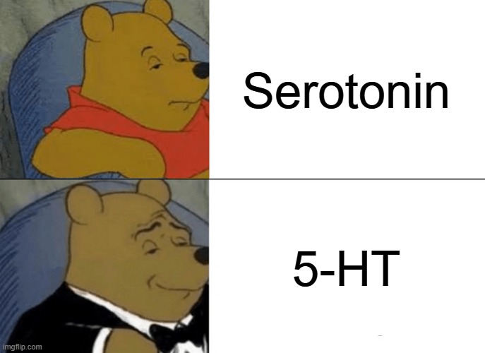 Serotonin? | Serotonin; 5-HT | image tagged in memes,tuxedo winnie the pooh | made w/ Imgflip meme maker