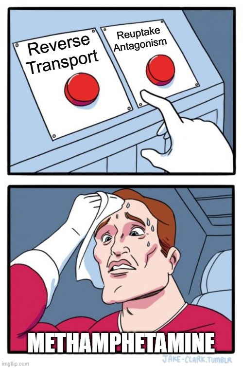 Which direction? Both directions! | Reuptake Antagonism; Reverse Transport; METHAMPHETAMINE | image tagged in memes,two buttons | made w/ Imgflip meme maker