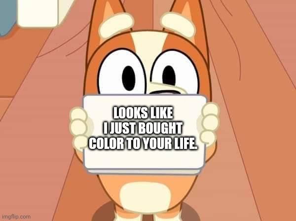 Bluey Bingo sign | LOOKS LIKE I JUST BOUGHT COLOR TO YOUR LIFE. | image tagged in bluey bingo sign | made w/ Imgflip meme maker