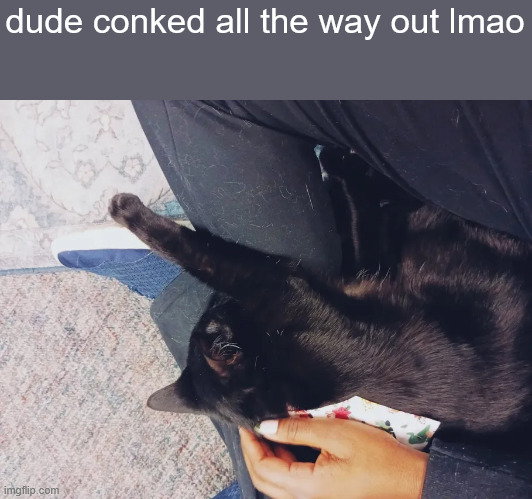 dude conked all the way out lmao | made w/ Imgflip meme maker