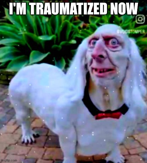 what a terrible day to have eyes | I'M TRAUMATIZED NOW | image tagged in what a terrible day to have eyes,cringe | made w/ Imgflip meme maker