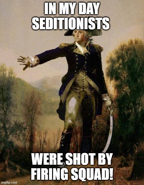George Washington 6 | IN MY DAY SEDITIONISTS; WERE SHOT BY FIRING SQUAD! | image tagged in george washington 6 | made w/ Imgflip meme maker