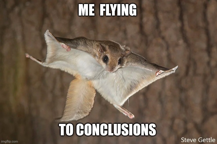 Why am I like this | ME  FLYING; TO CONCLUSIONS | image tagged in funny memes | made w/ Imgflip meme maker