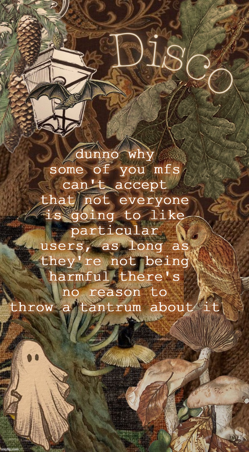 Disco's autumn temp | dunno why some of you mfs can't accept that not everyone is going to like particular users, as long as they're not being harmful there's no reason to throw a tantrum about it | image tagged in disco's autumn temp | made w/ Imgflip meme maker