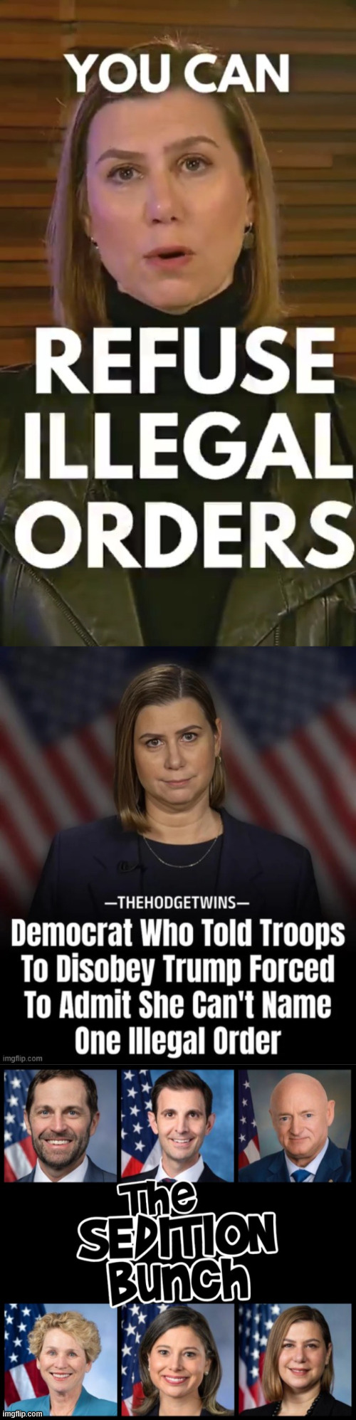 The sedition bunch | image tagged in the sedition bunch,seditious conspiracy | made w/ Imgflip meme maker