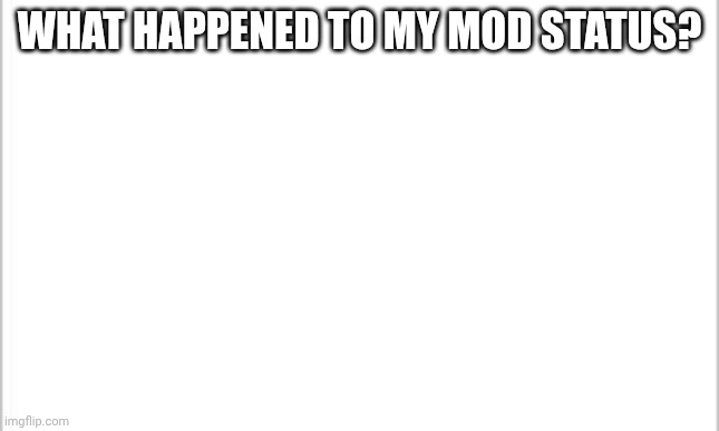 white background | WHAT HAPPENED TO MY MOD STATUS? | image tagged in white background | made w/ Imgflip meme maker