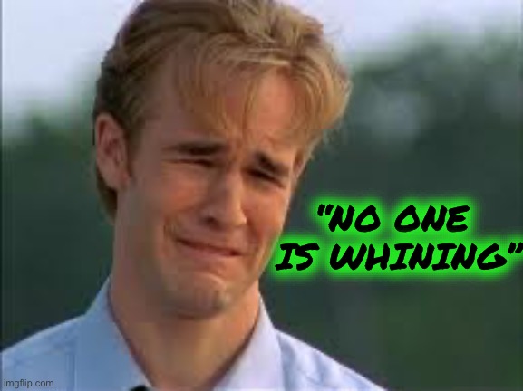 Whiners | “NO ONE 
IS WHINING” | image tagged in whiners | made w/ Imgflip meme maker
