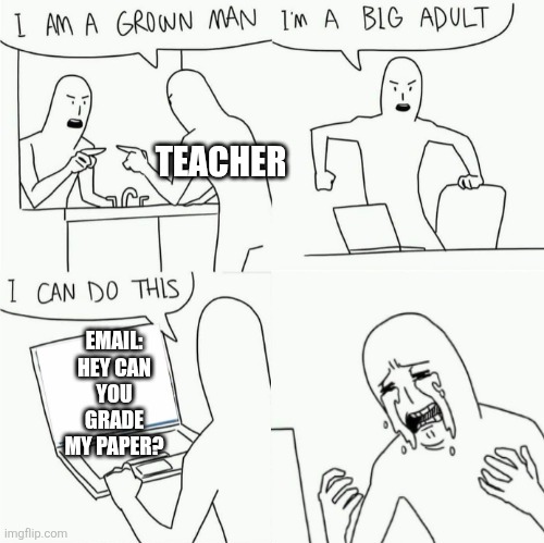 Why are they so lazy | TEACHER; EMAIL: HEY CAN YOU GRADE MY PAPER? | image tagged in i'm a grown man i'm a big adult i can do this but shorter | made w/ Imgflip meme maker