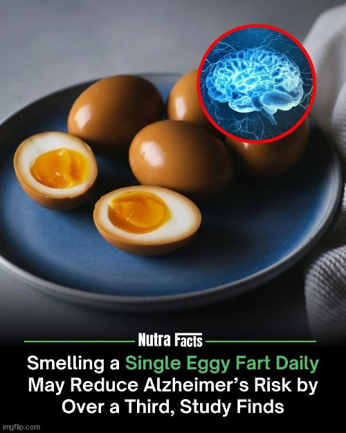 This got me slapping my belly | made w/ Imgflip meme maker