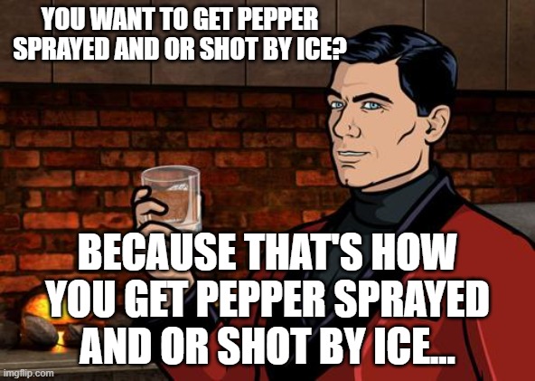 ICE ICE Baby | YOU WANT TO GET PEPPER SPRAYED AND OR SHOT BY ICE? BECAUSE THAT'S HOW YOU GET PEPPER SPRAYED AND OR SHOT BY ICE... | image tagged in archer | made w/ Imgflip meme maker
