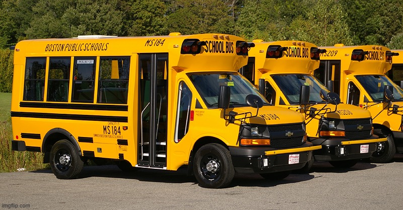 School busses | image tagged in school busses | made w/ Imgflip meme maker