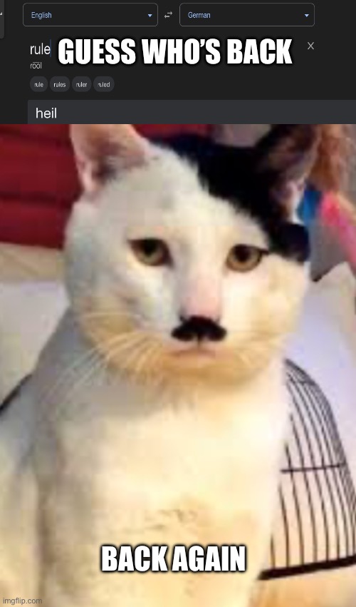 Unleash the beast | GUESS WHO’S BACK; BACK AGAIN | image tagged in german cat,heil,funny memes | made w/ Imgflip meme maker