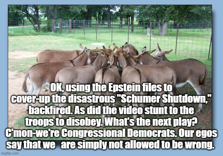 Asses | OK, using the Epstein files to cover-up the disastrous "Schumer Shutdown," backfired. As did the video stunt to the troops to disobey. What's the next play? C'mon-we're Congressional Democrats. Our egos say that we   are simply not allowed to be wrong. | image tagged in democrats | made w/ Imgflip meme maker