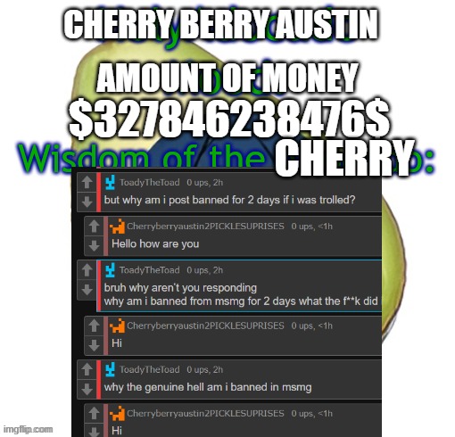 Hahhaa | CHERRY BERRY AUSTIN; AMOUNT OF MONEY; $327846238476$; CHERRY | image tagged in holy adocado | made w/ Imgflip meme maker
