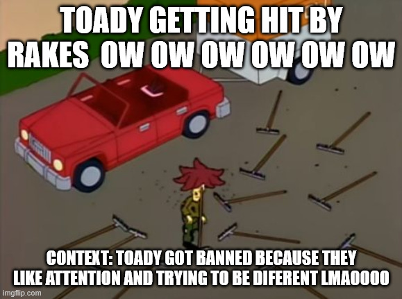 My mimmy | TOADY GETTING HIT BY RAKES  OW OW OW OW OW OW; CONTEXT: TOADY GOT BANNED BECAUSE THEY LIKE ATTENTION AND TRYING TO BE DIFERENT LMAOOOO | image tagged in sideshow bob rake | made w/ Imgflip meme maker