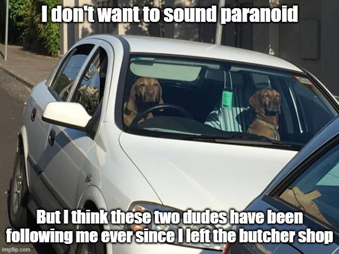 Two Dudes | I don't want to sound paranoid; But I think these two dudes have been following me ever since I left the butcher shop | image tagged in follow,suspicious,tail,stranger danger | made w/ Imgflip meme maker