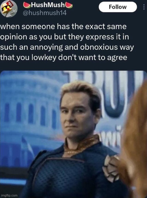 When someone has the exact same opinion Blank Meme Template