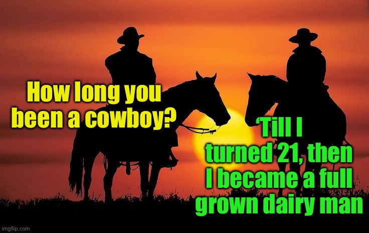 When a cow boy becomes a dairy man | How long you been a cowboy? ‘Till I turned 21, then I became a full grown dairy man | image tagged in cowboys riding off into the sunset together,cow,boy | made w/ Imgflip meme maker