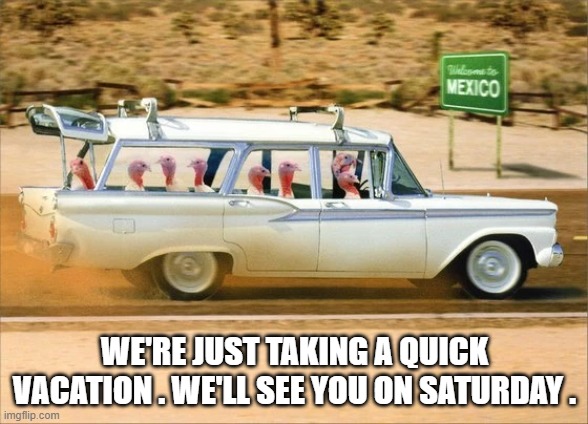 Turkeys are taking a "quick" vacation until Thanksgiving is over. | WE'RE JUST TAKING A QUICK VACATION . WE'LL SEE YOU ON SATURDAY . | image tagged in funny,humor,turkey,thanksgiving day,vacation | made w/ Imgflip meme maker