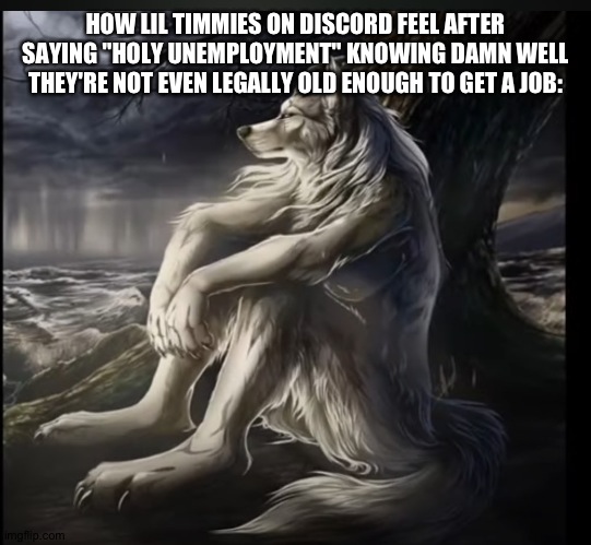 I hate it when parents give kids under 10 years old ANY internet access... | HOW LIL TIMMIES ON DISCORD FEEL AFTER SAYING "HOLY UNEMPLOYMENT" KNOWING DAMN WELL THEY'RE NOT EVEN LEGALLY OLD ENOUGH TO GET A JOB: | image tagged in sad alpha wolf | made w/ Imgflip meme maker