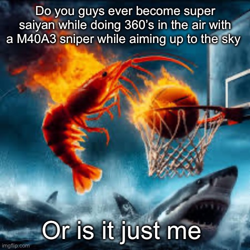 Il | Do you guys ever become super saiyan while doing 360’s in the air with a M40A3 sniper while aiming up to the sky; Or is it just me | image tagged in ballin shrimp | made w/ Imgflip meme maker