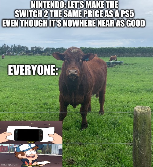 Staring cow | NINTENDO: LET’S MAKE THE SWITCH 2 THE SAME PRICE AS A PS5 EVEN THOUGH IT’S NOWHERE NEAR AS GOOD; EVERYONE: | image tagged in staring cow,nintendo,switch 2,memes,so true memes,cow | made w/ Imgflip meme maker