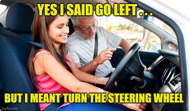 YES I SAID GO LEFT . . . BUT I MEANT TURN THE STEERING WHEEL | image tagged in student driver | made w/ Imgflip meme maker