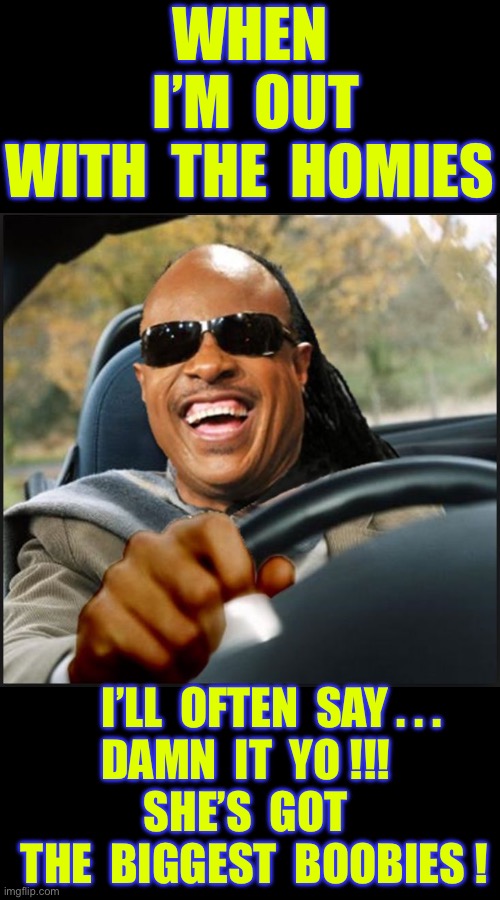 The Adventures Of Stevie Wonder !!!  ( PART 1 ) | WHEN
 I’M  OUT
WITH  THE  HOMIES; I’LL  OFTEN  SAY . . .
DAMN  IT  YO !!! 
SHE’S  GOT 
 THE  BIGGEST  BOOBIES ! | image tagged in stevie wonder | made w/ Imgflip meme maker