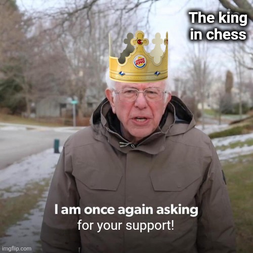 When you're losing at chess | The king in chess; for your support! | image tagged in memes,bernie i am once again asking for your support | made w/ Imgflip meme maker
