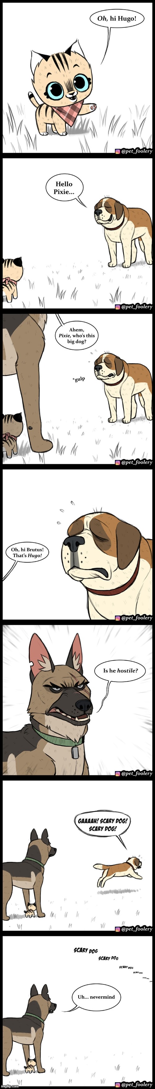 Bro did NOT have to scare him like that... | image tagged in cat,dog,dogs,scared,run,running | made w/ Imgflip meme maker