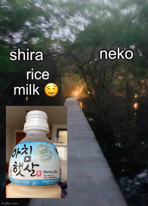 shira n neko shared temp | rice milk 🤤 | image tagged in shira n neko shared temp | made w/ Imgflip meme maker