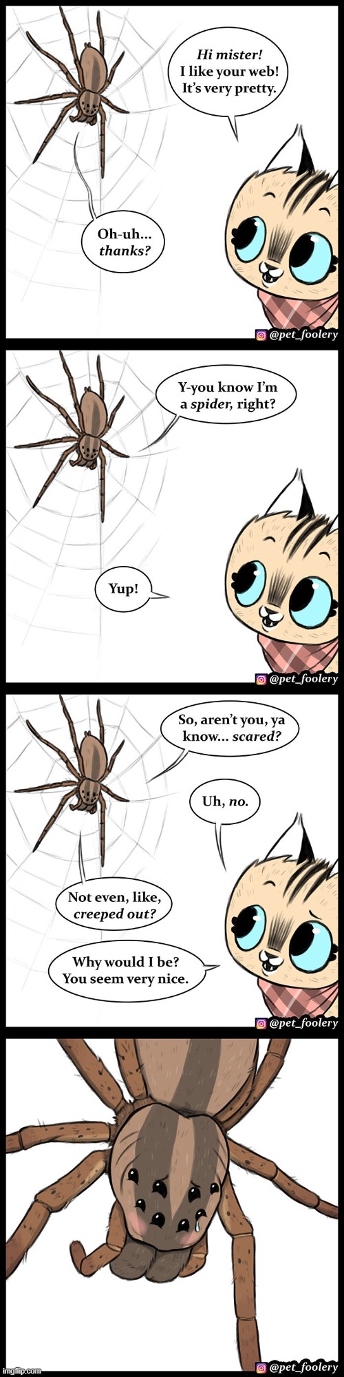 image tagged in cat,spider,web,spiderweb,nice,aww | made w/ Imgflip meme maker