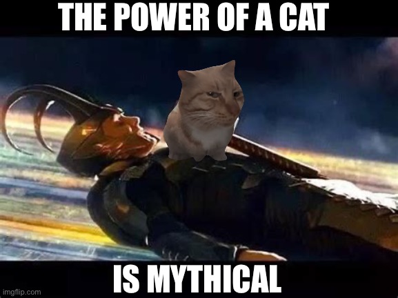 THE POWER OF A CAT IS MYTHICAL | made w/ Imgflip meme maker