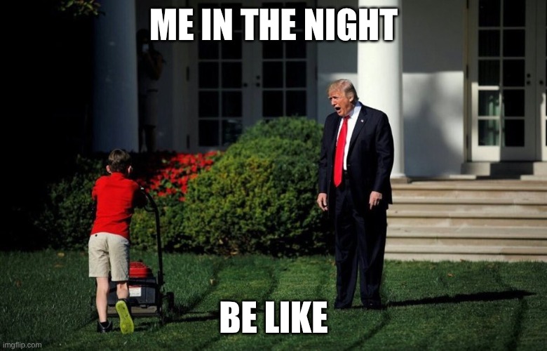 trump actually got angry on my kid | ME IN THE NIGHT; BE LIKE | image tagged in trump yelling at kid | made w/ Imgflip meme maker