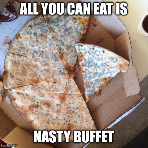 Mouldy Pizza | ALL YOU CAN EAT IS NASTY BUFFET | image tagged in mouldy pizza | made w/ Imgflip meme maker