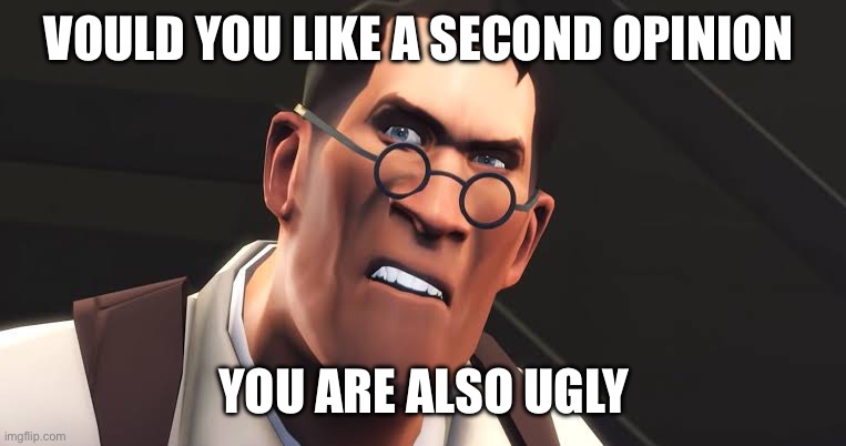 VOULD YOU LIKE A SECOND OPINION YOU ARE ALSO UGLY | made w/ Imgflip meme maker